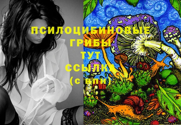первитин Алексин