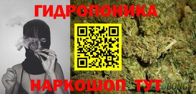 гашик Кандалакша
