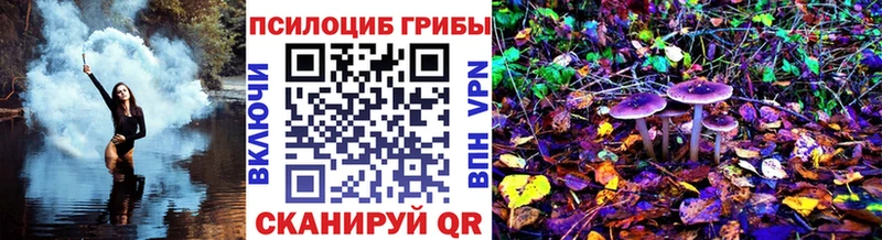 цены наркотик  Нальчик  Галлюциногенные грибы прущие грибы 