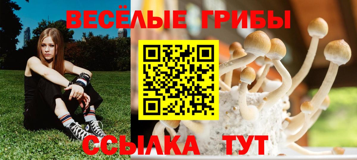 Псилоцибиновые грибы ЛСД Нальчик