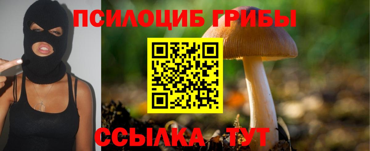 Галлюциногенные грибы мицелий  Вход с VPN  Нальчик 
