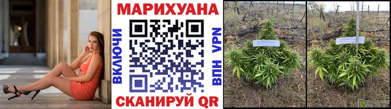 где продают наркотики  Нальчик  Марихуана OG Kush 